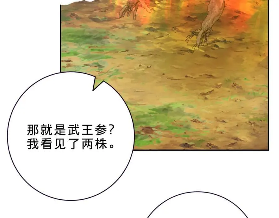 第373话 武王参只有两株49