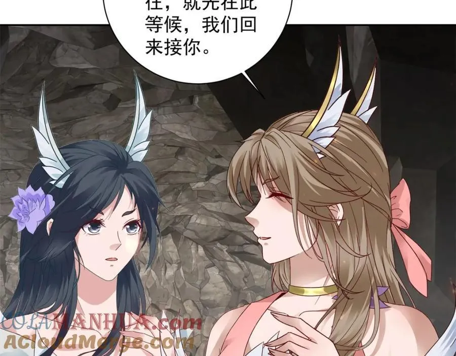 第373话 武王参只有两株12