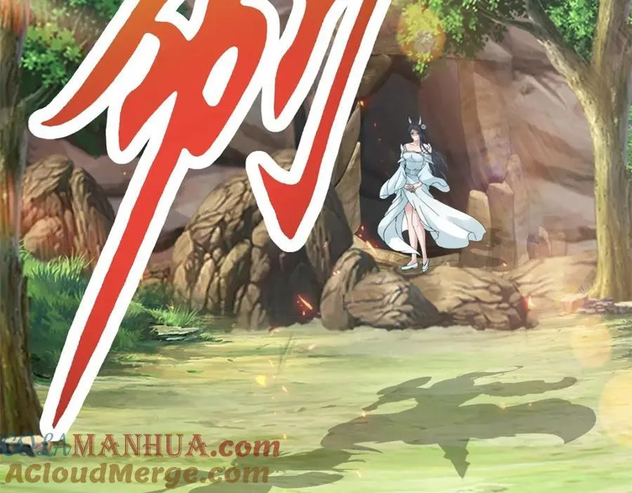 第373话 武王参只有两株15