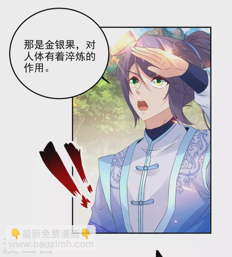 第222话金银树上金银果14