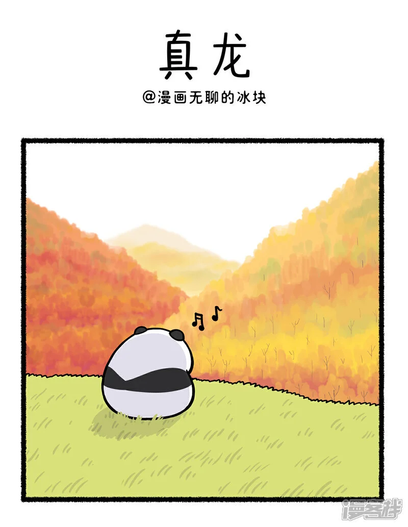 398打一个雪糕名字0