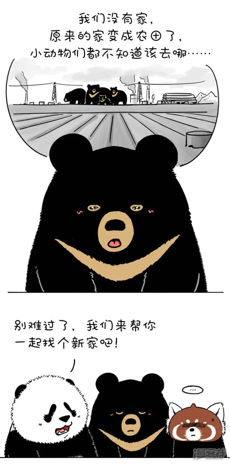 205熊挪活，树挪死6