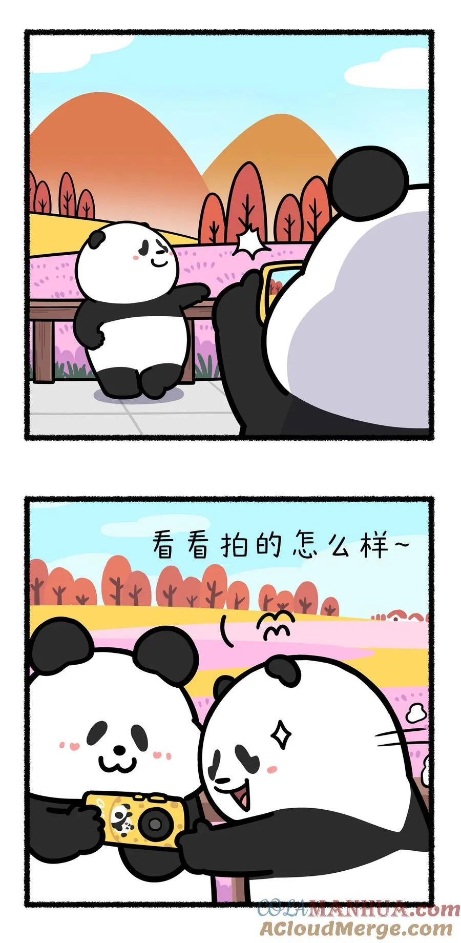 417 十五的月亮十六圆，谁的技术遥遥领先！5