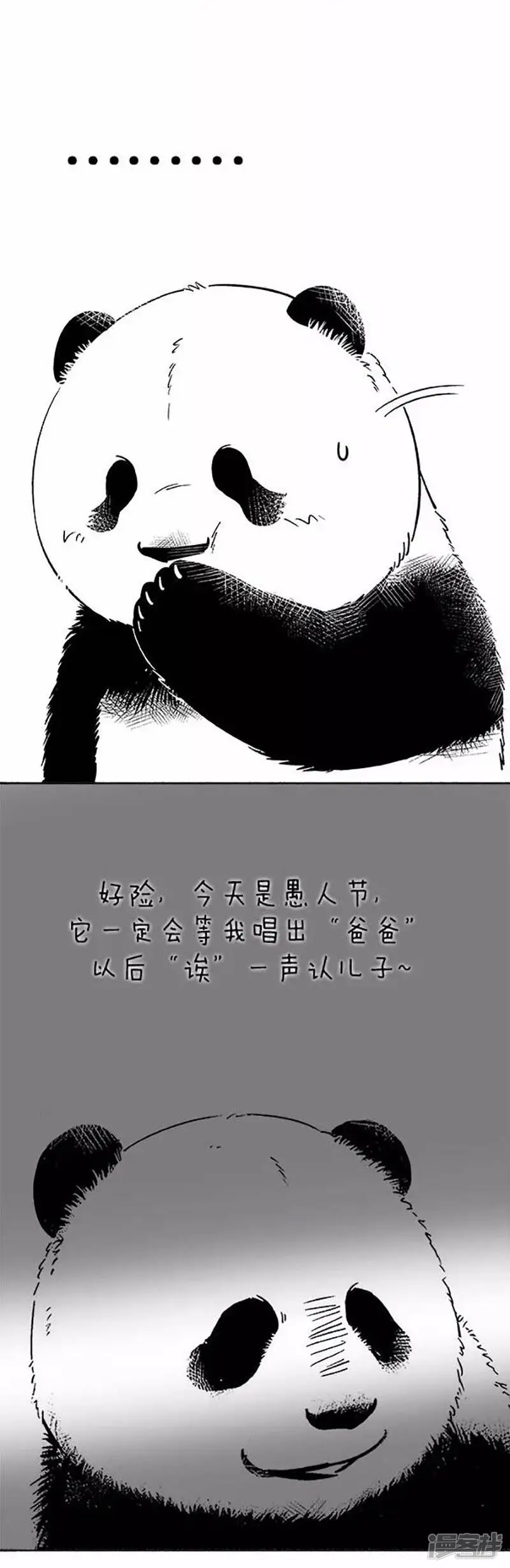 066愚熊3
