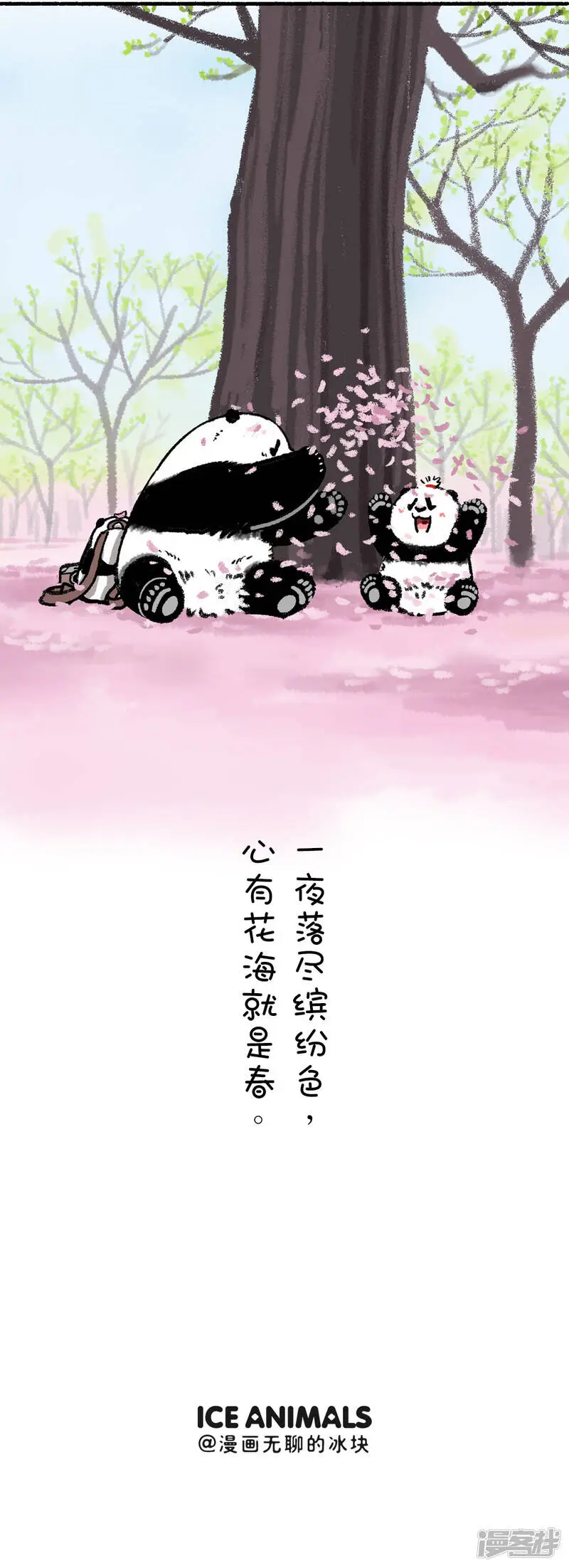 211没有什么能够阻挡春天的脚步5