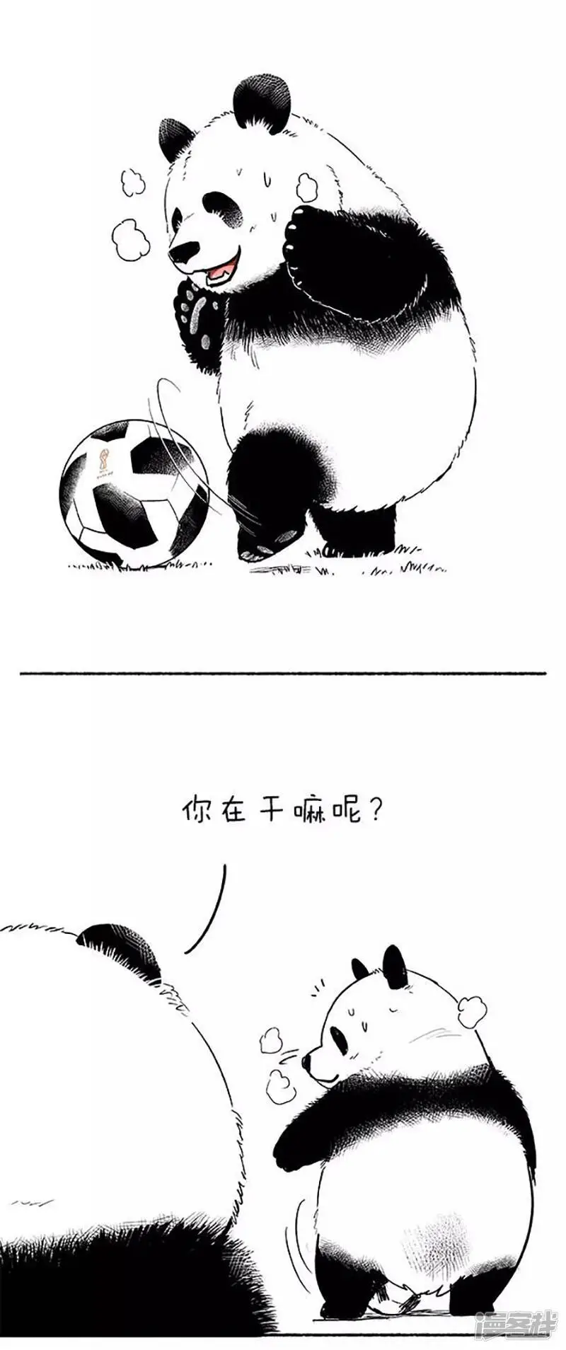 080球技4