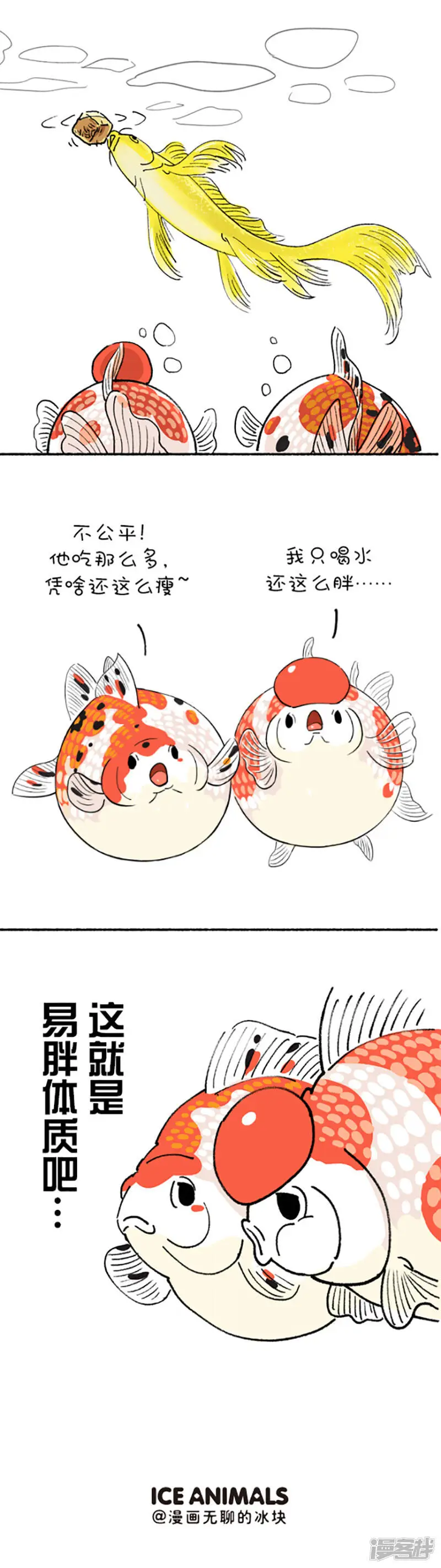 190 如何判断自己是不是易胖体质2