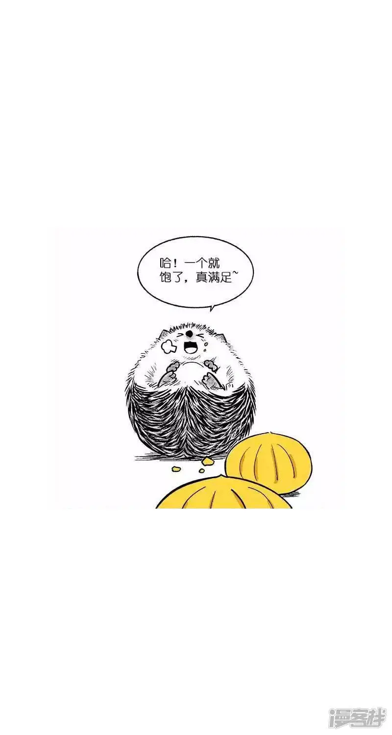 024惊喜11