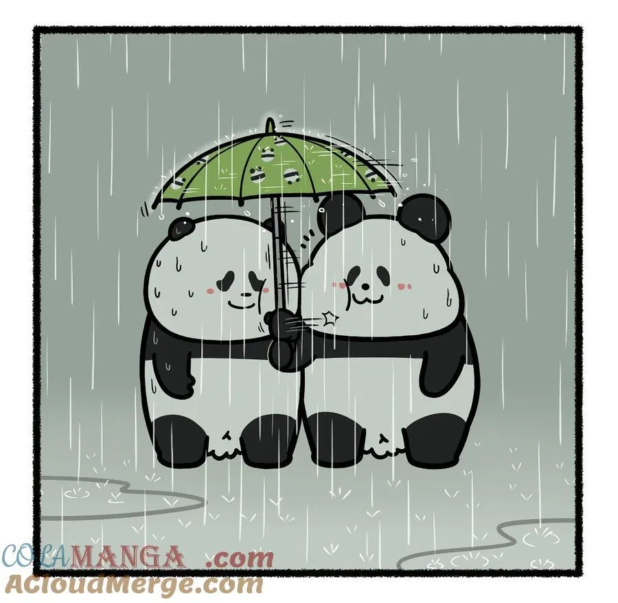 435 淋过雨，才懂得为你撑伞~1