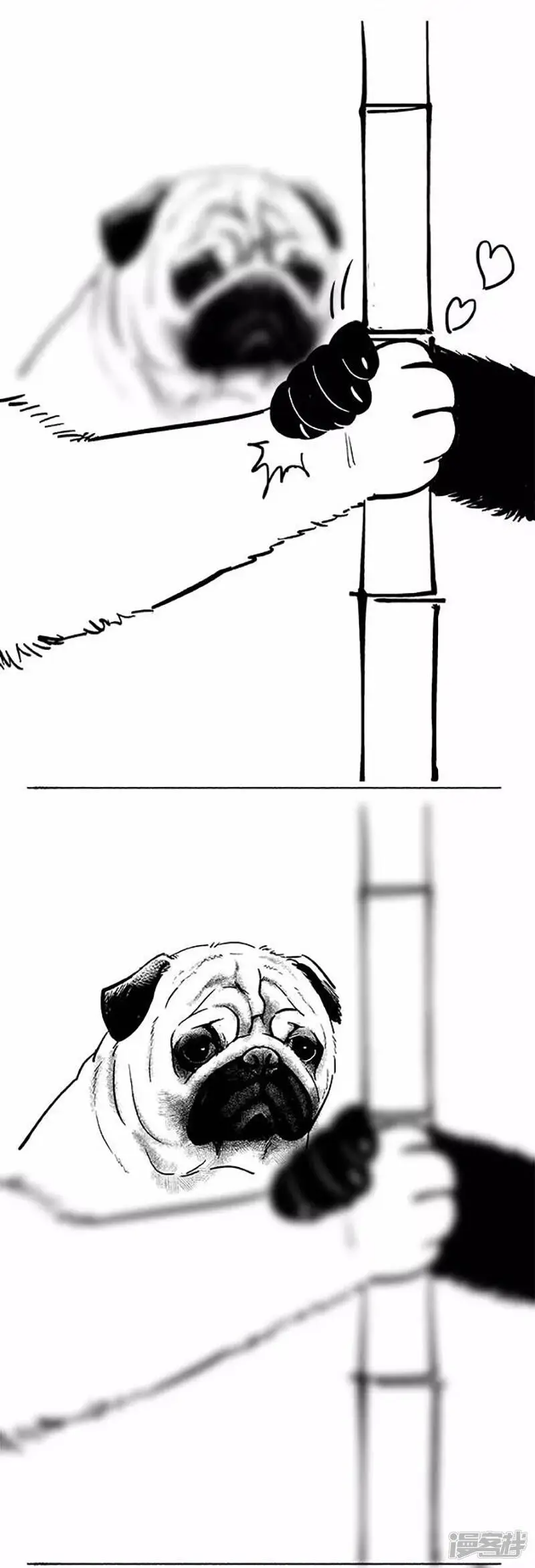 069狗粮5