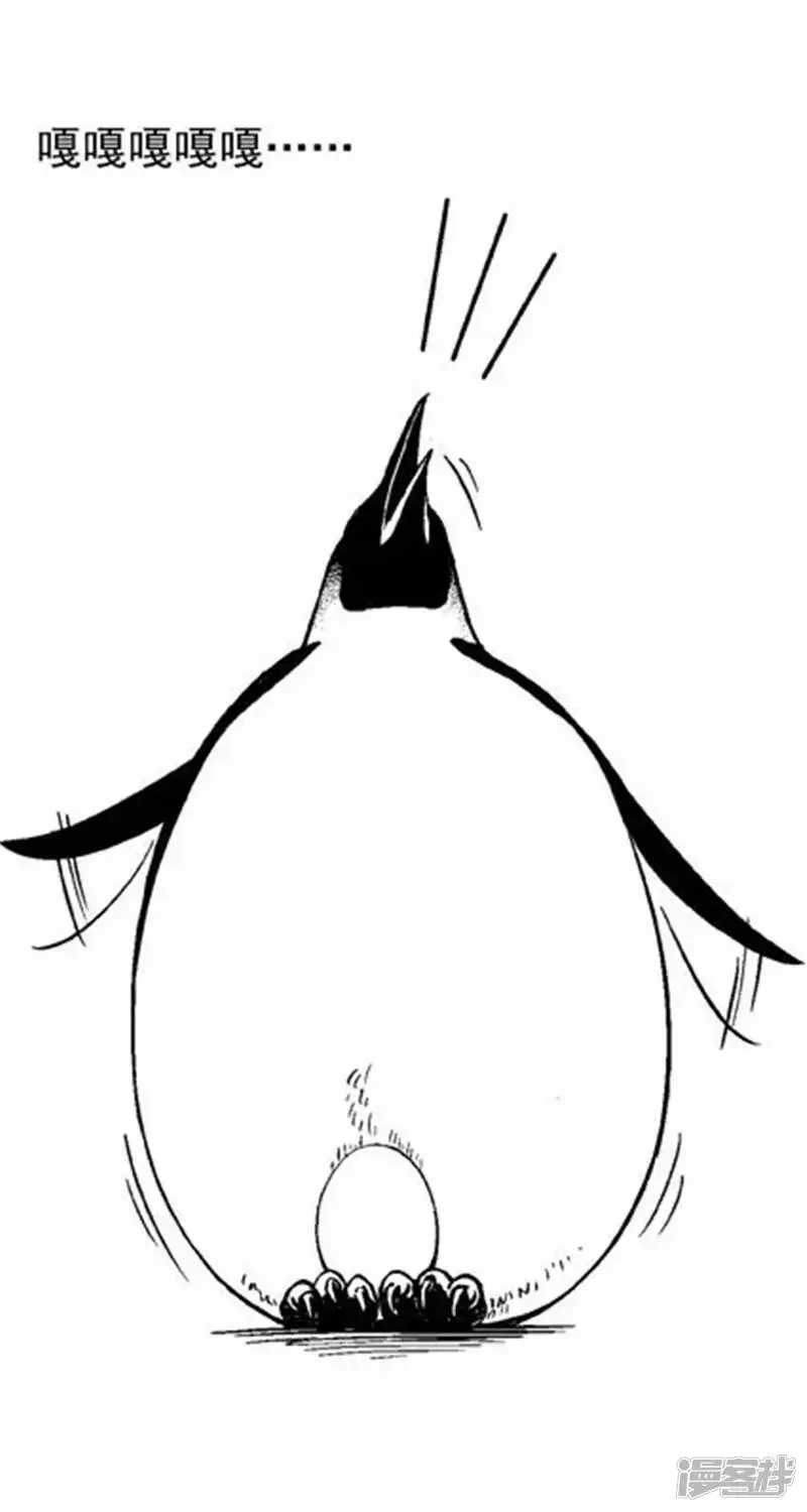 001孵蛋6