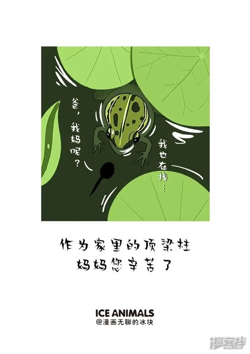 150妈，你这老公是怎么肥事啊0