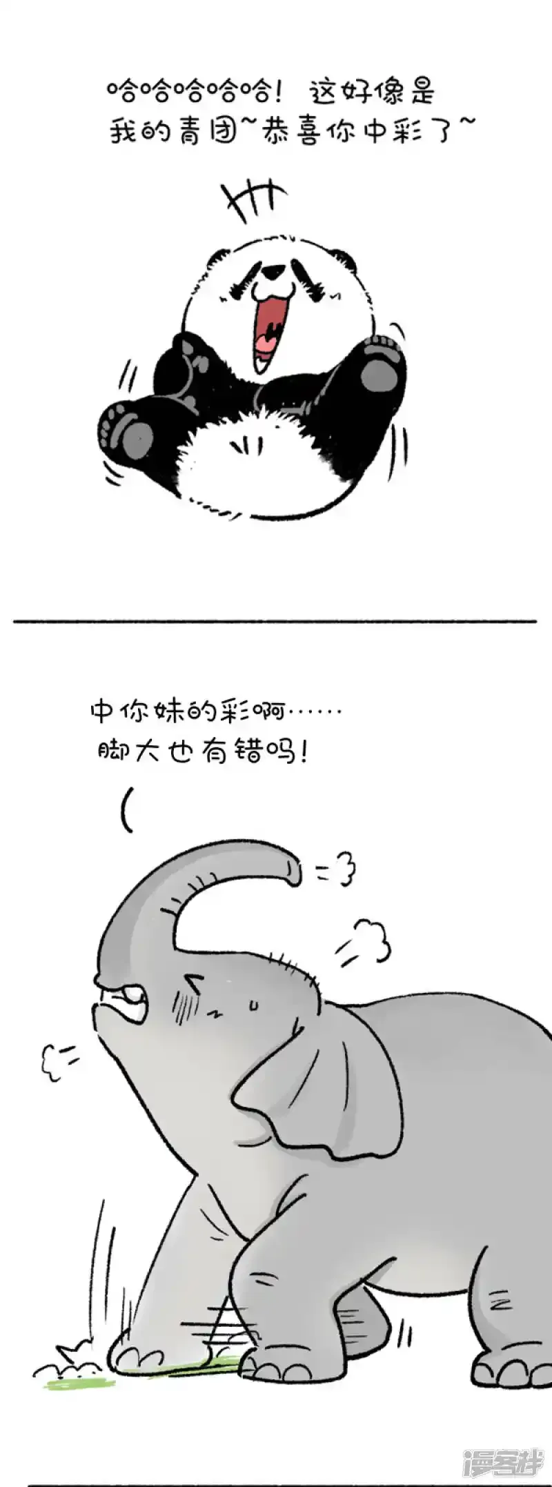 206奇怪，今天大象脾气变得很暴躁1