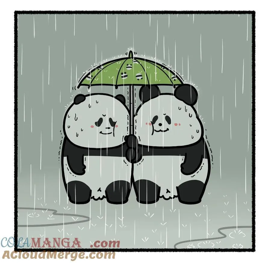 435 淋过雨，才懂得为你撑伞~3