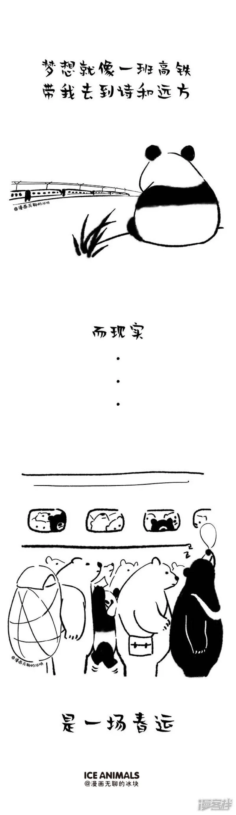 122我的熊生需要诗和远方0