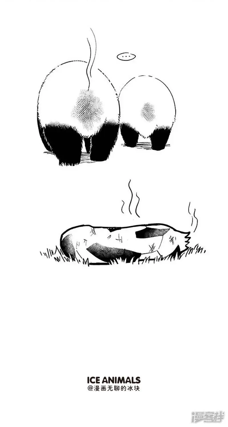 080球技9