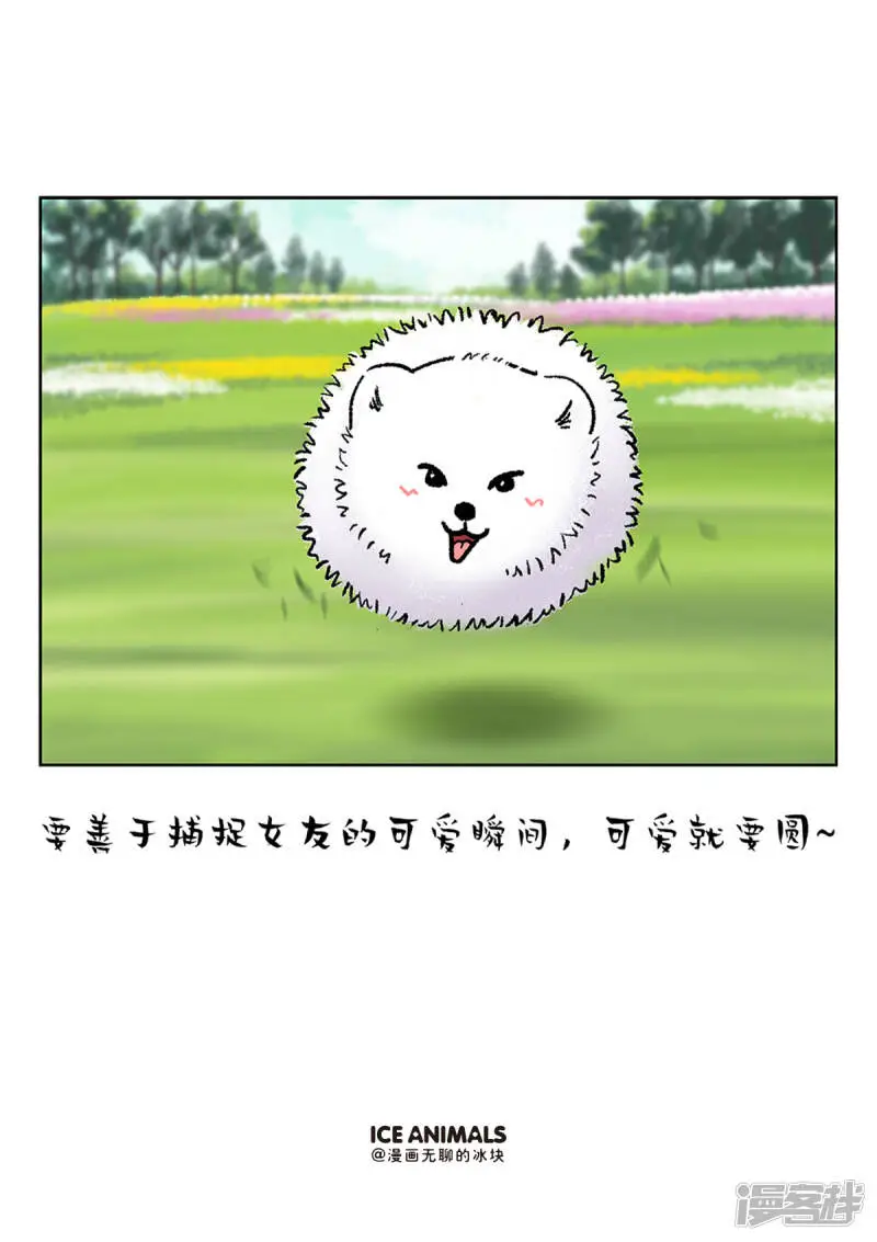 214男朋友对你用不用心，看他给你拍的照片就知道5