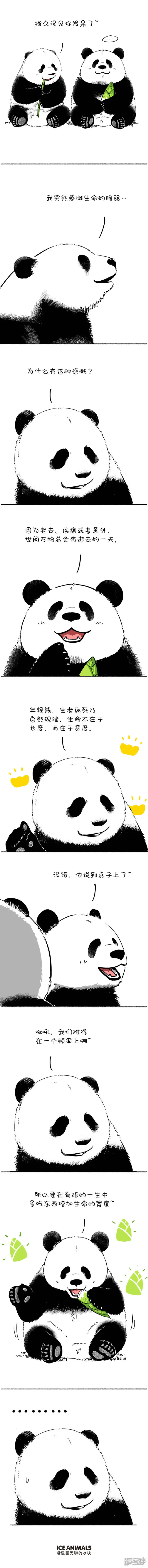 104生命的意义 奇思哲学0