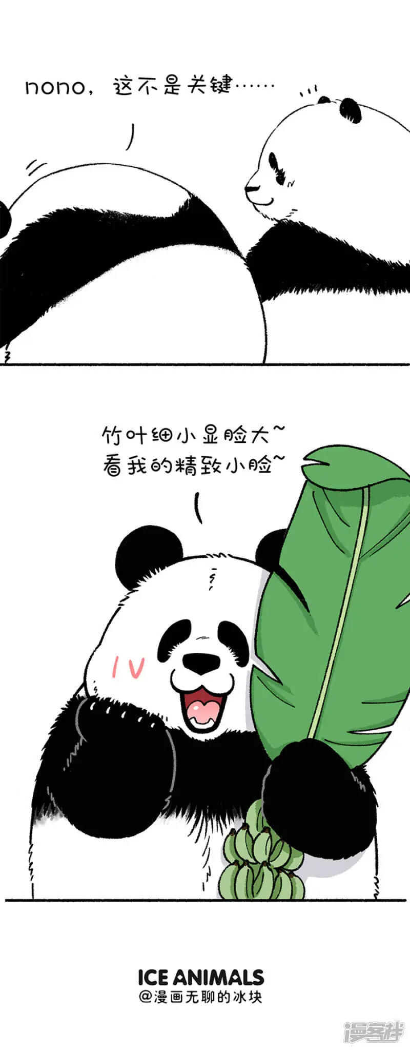 215一招解决你的脸大问题4