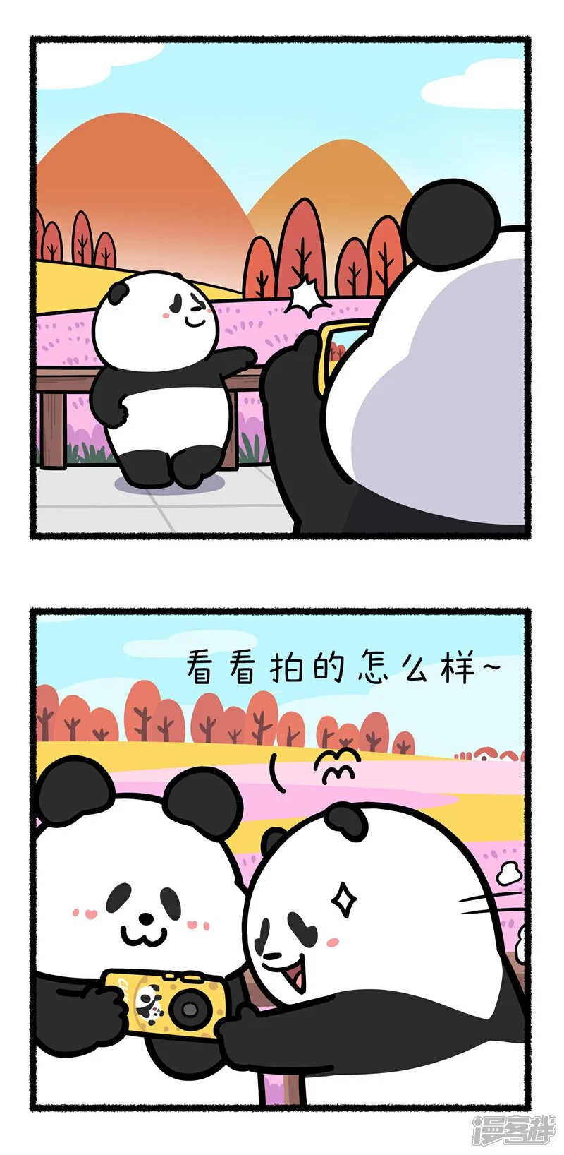 391金秋十月的美景下，有多少错付的感情~1