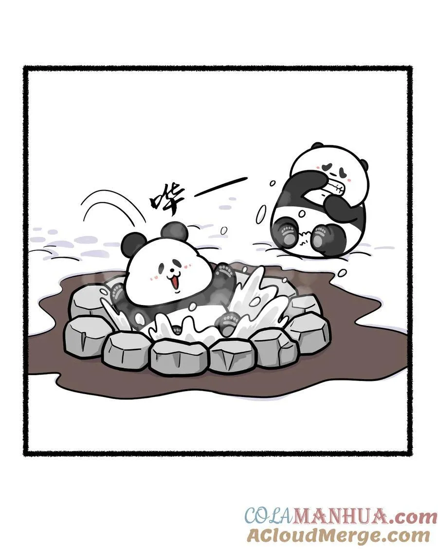 427 这样的温泉搭子想不想来一只？2