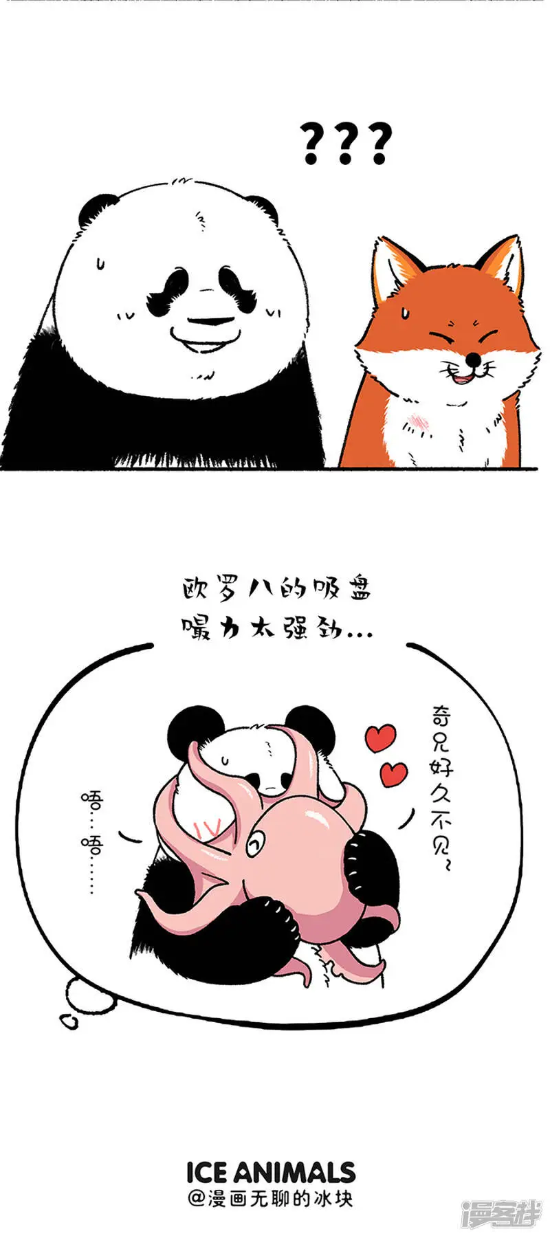 213别误会，我是熊又不是猪3