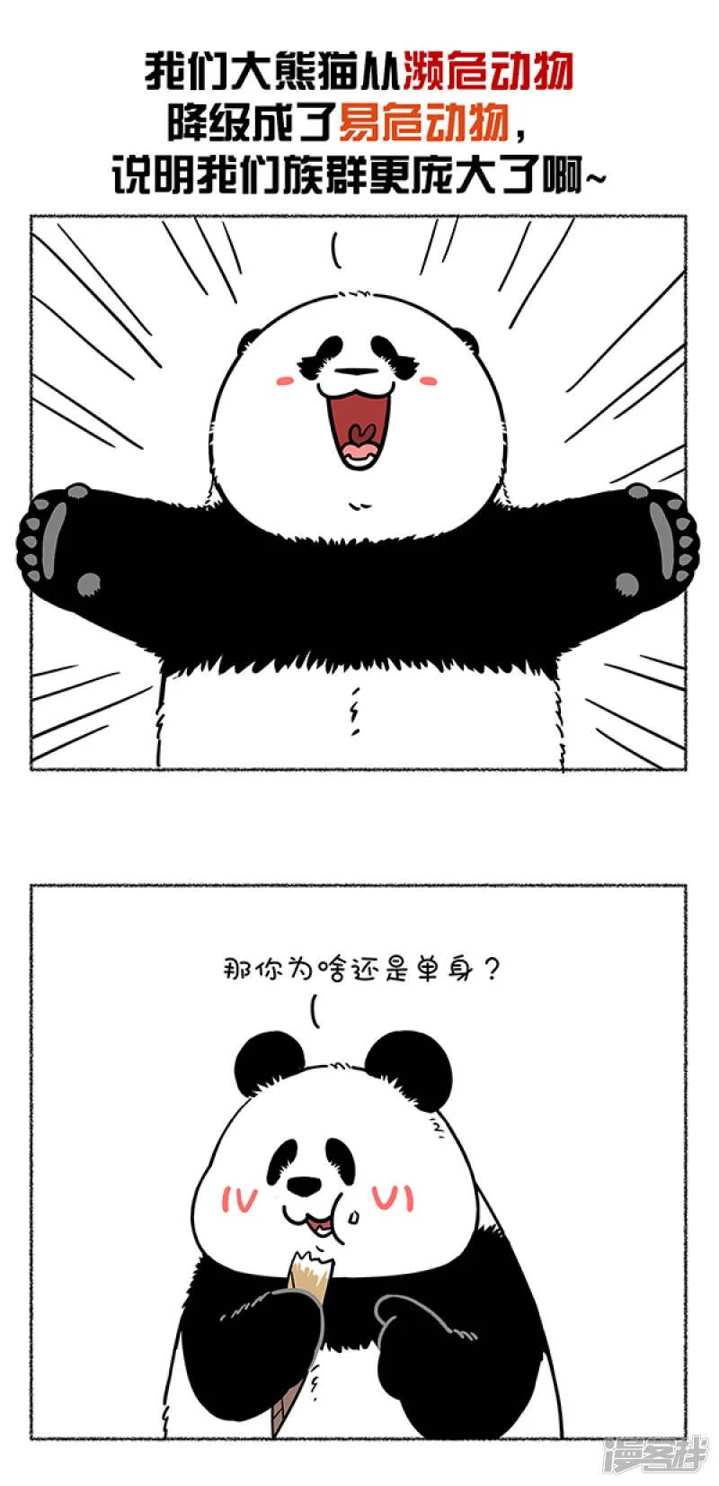 284热烈庆祝大熊猫成功降级，也祝贺奇思圆宝不忘初心~1