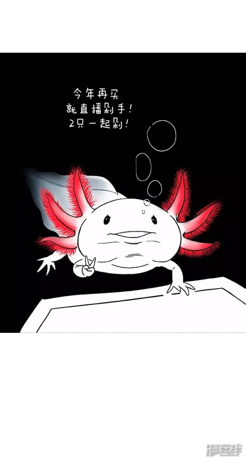 014剁手1