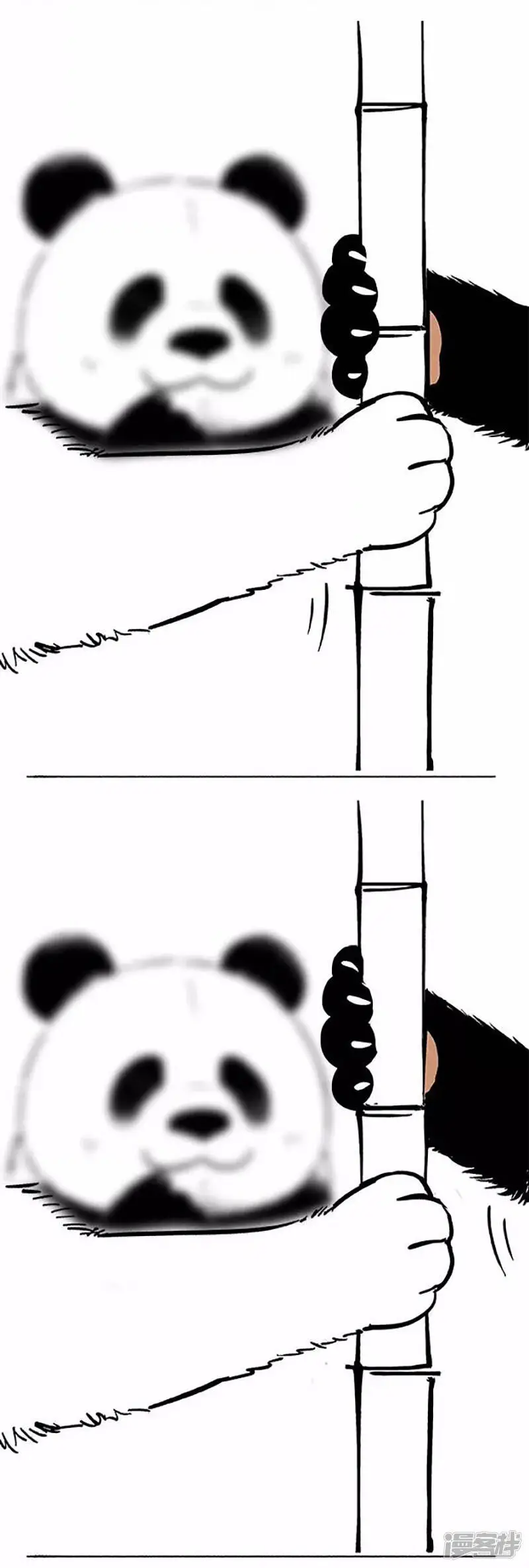069狗粮10