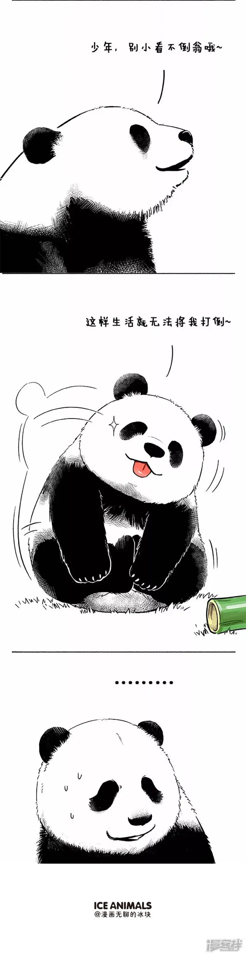 048不倒翁4