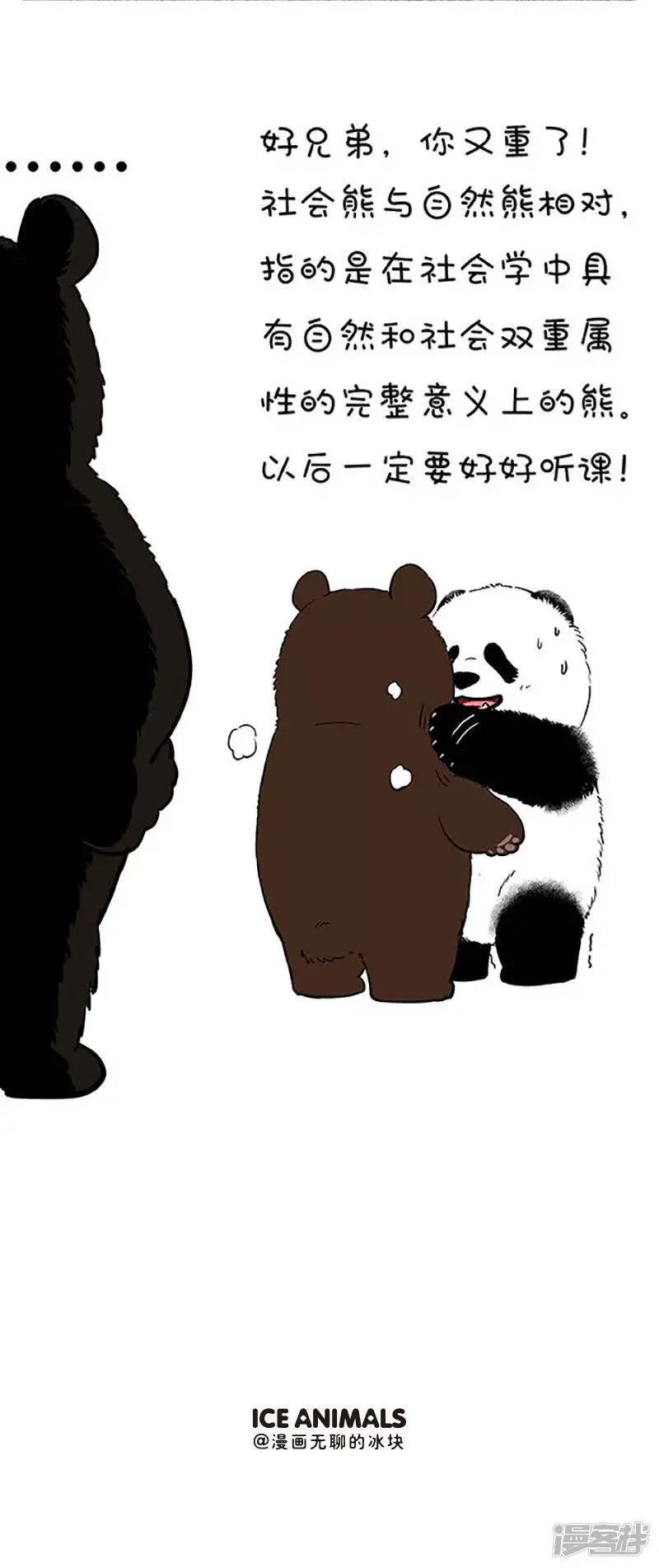 109社会熊4