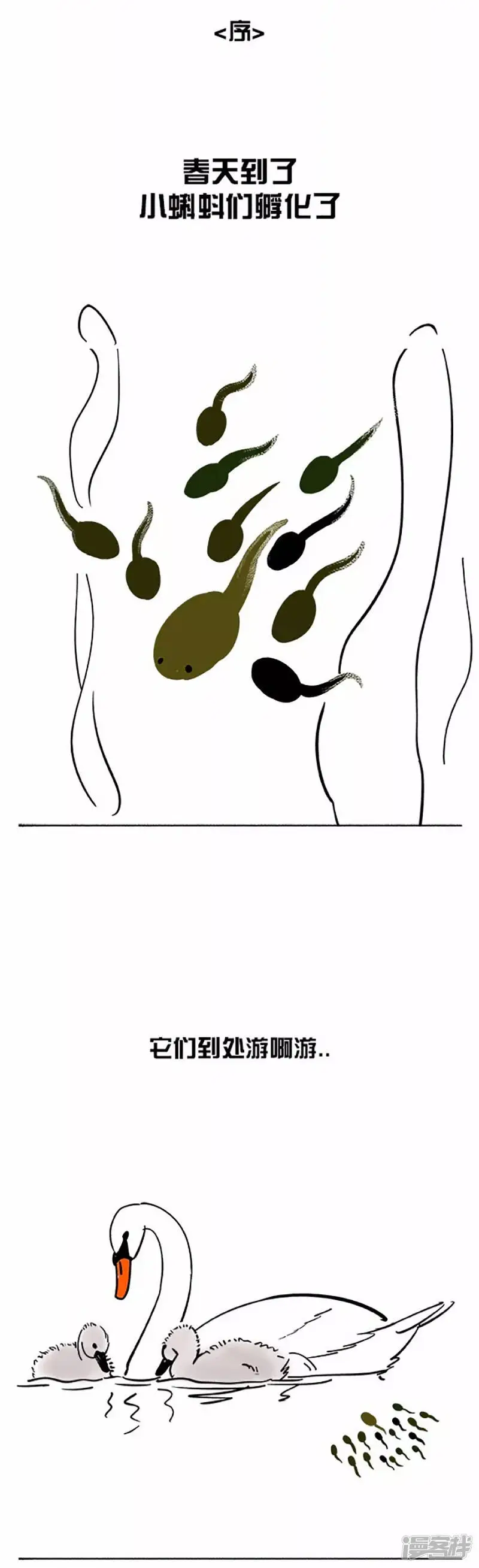 060小蝌蚪找麻麻(一）2
