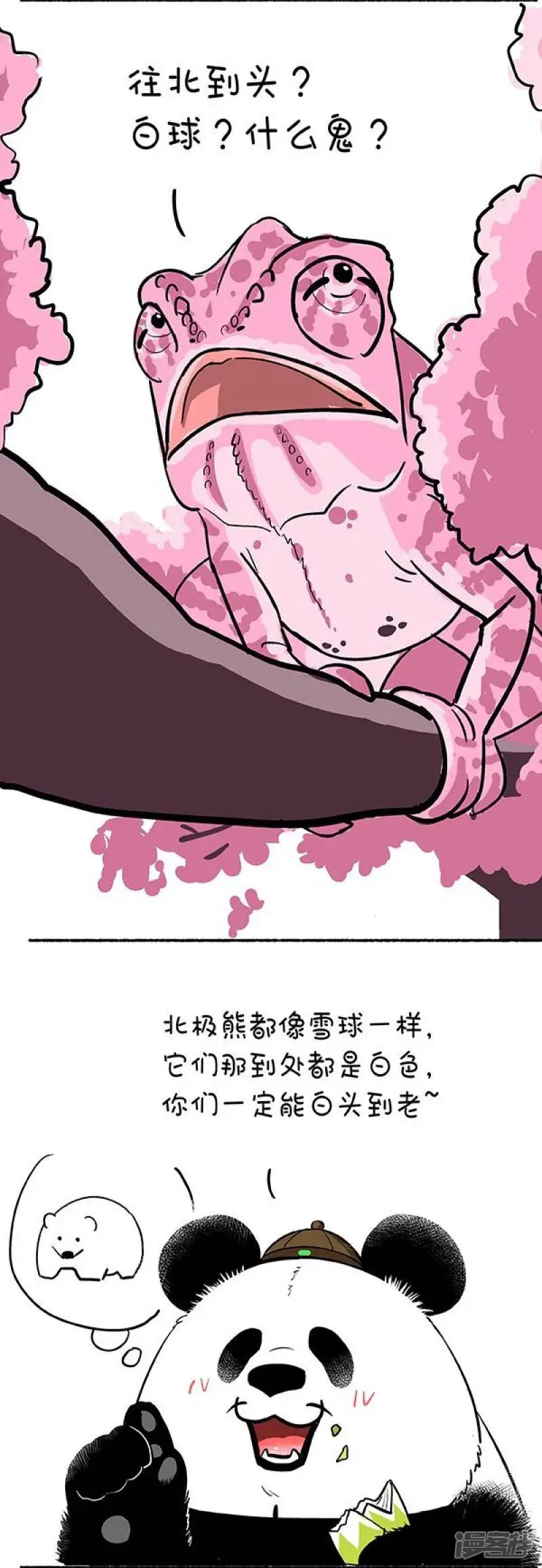 132奇大师不框你之爱到白头6