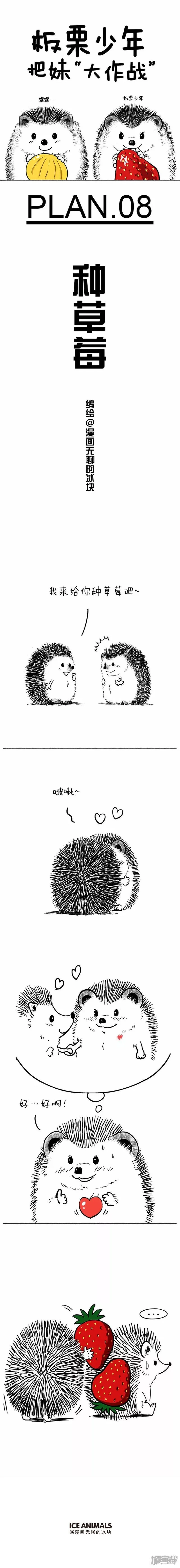 063今天教大家如何种草莓0
