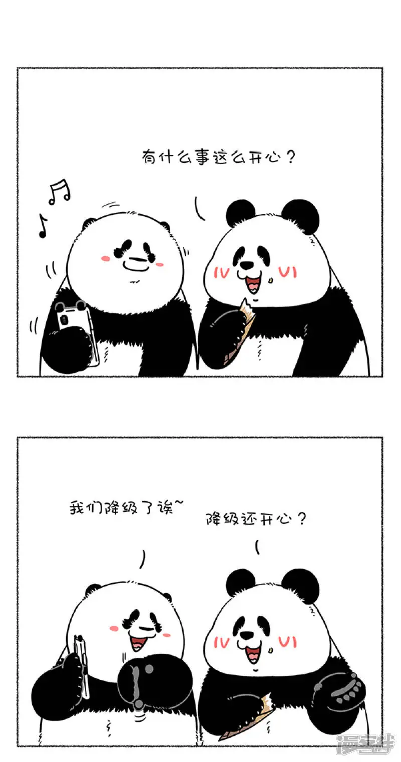 284热烈庆祝大熊猫成功降级，也祝贺奇思圆宝不忘初心~0