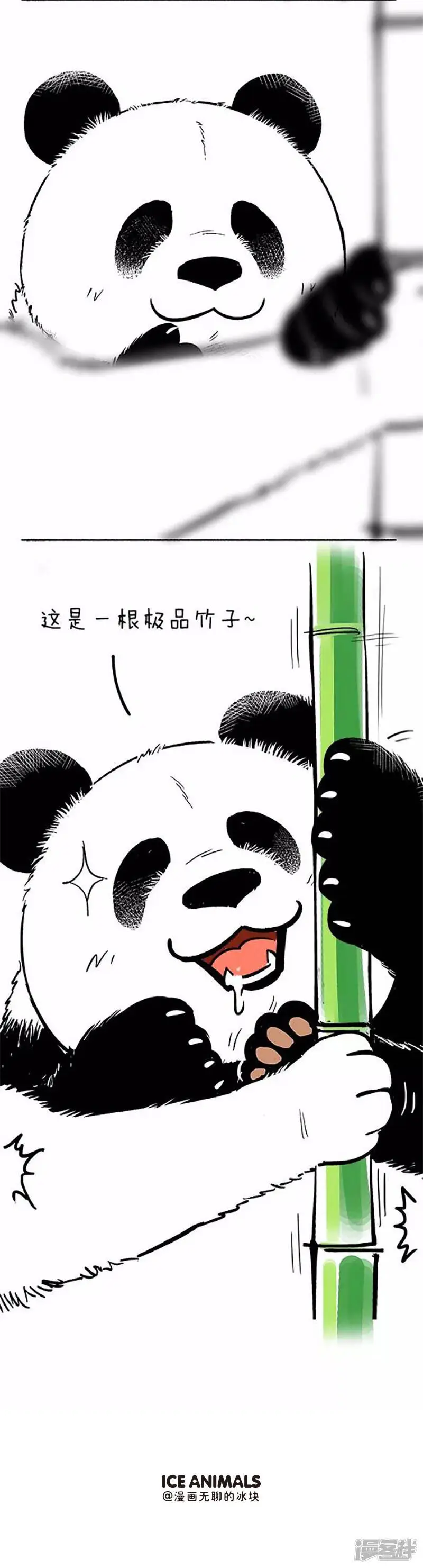 069狗粮13