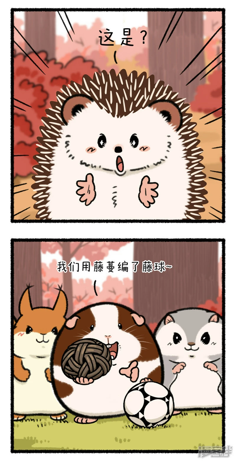 355谁还不是足球场上一朵带刺的玫瑰了~3