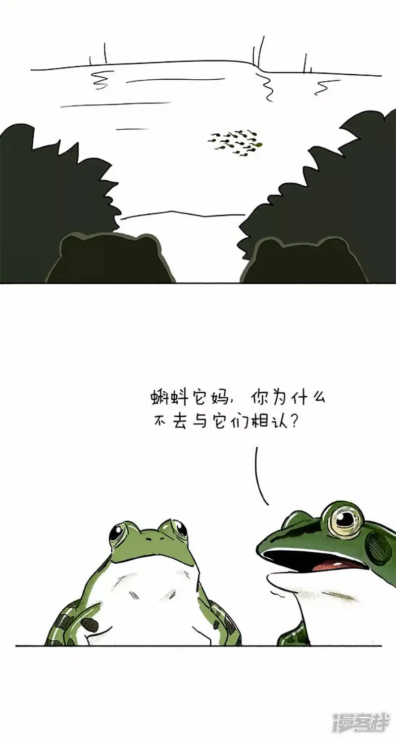 060小蝌蚪找麻麻(一）10
