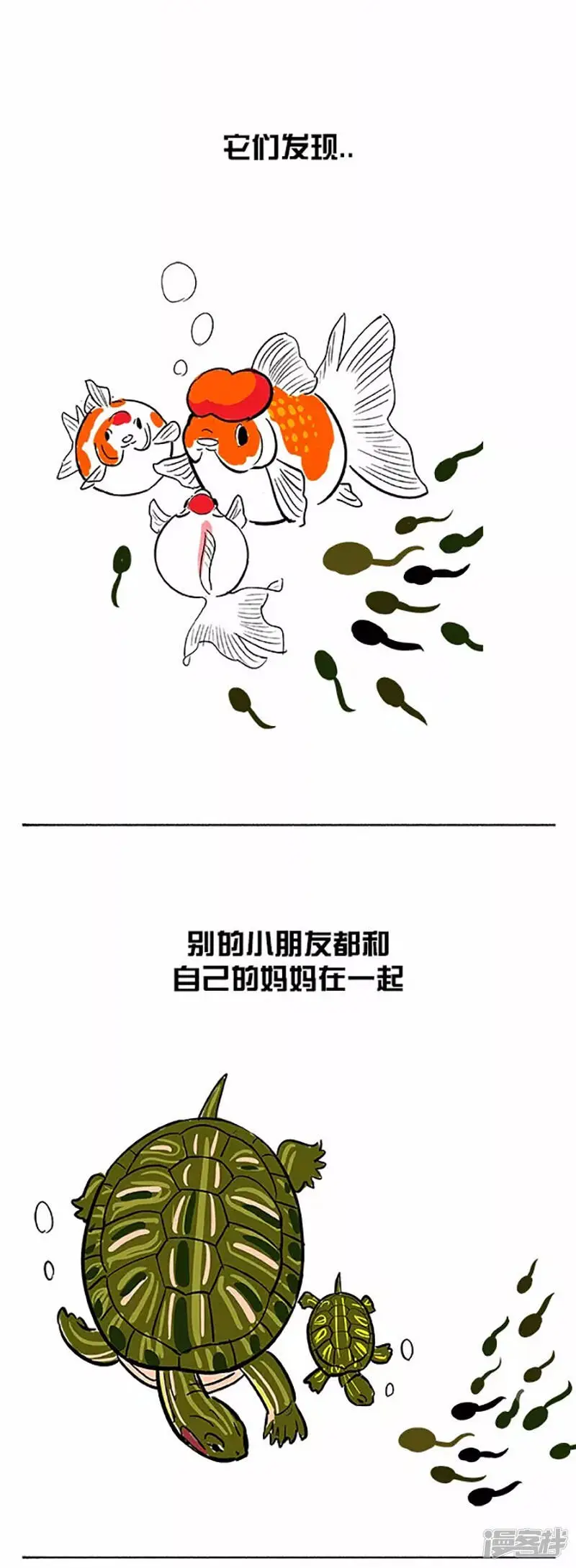 060小蝌蚪找麻麻(一）3