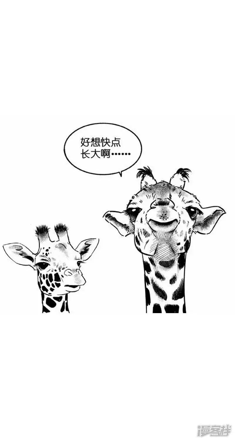 013长大4