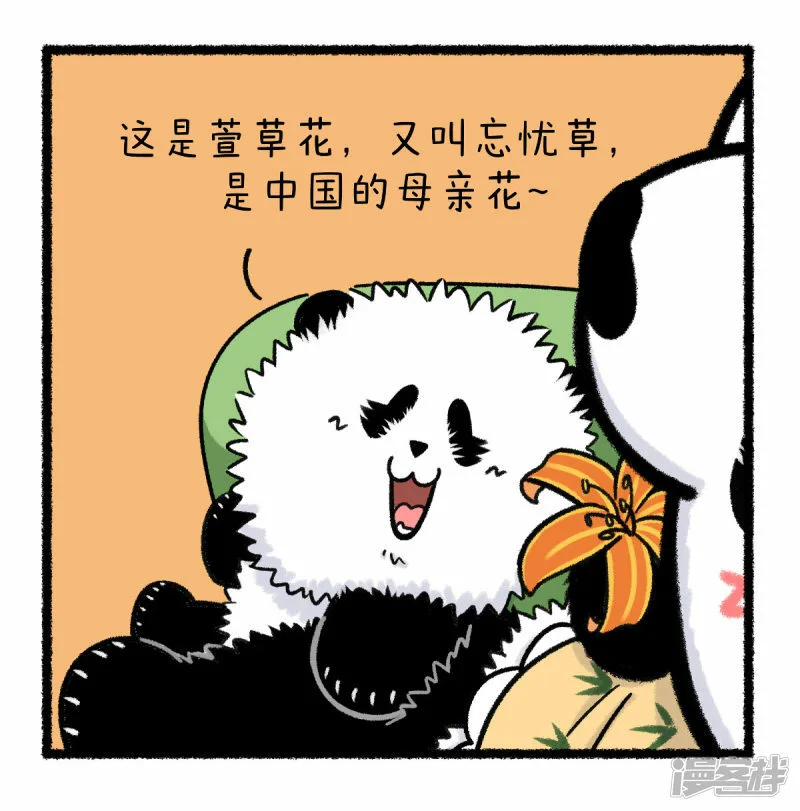 374祝全天下的妈妈无忧无虑~2