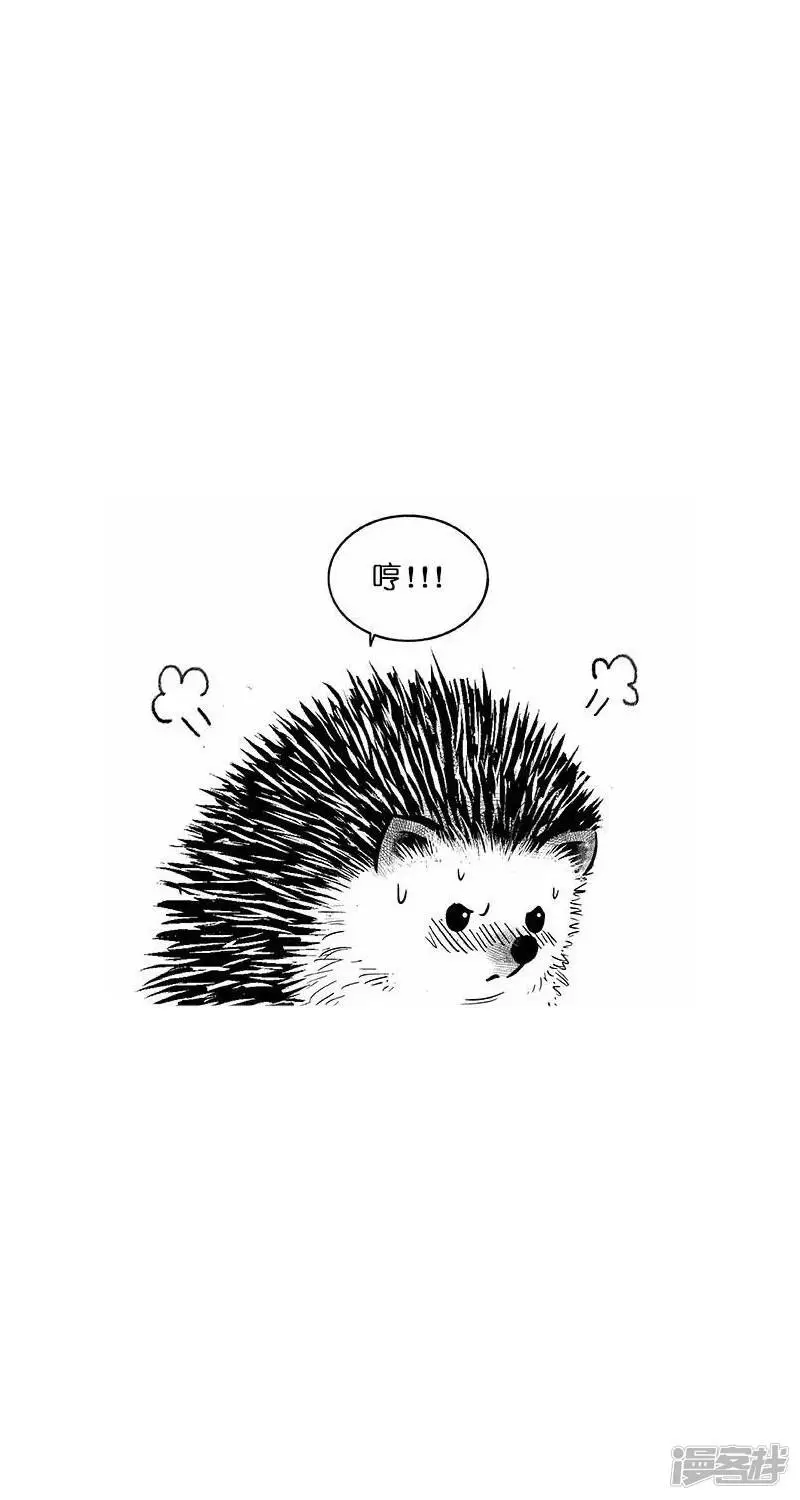 023甜言16