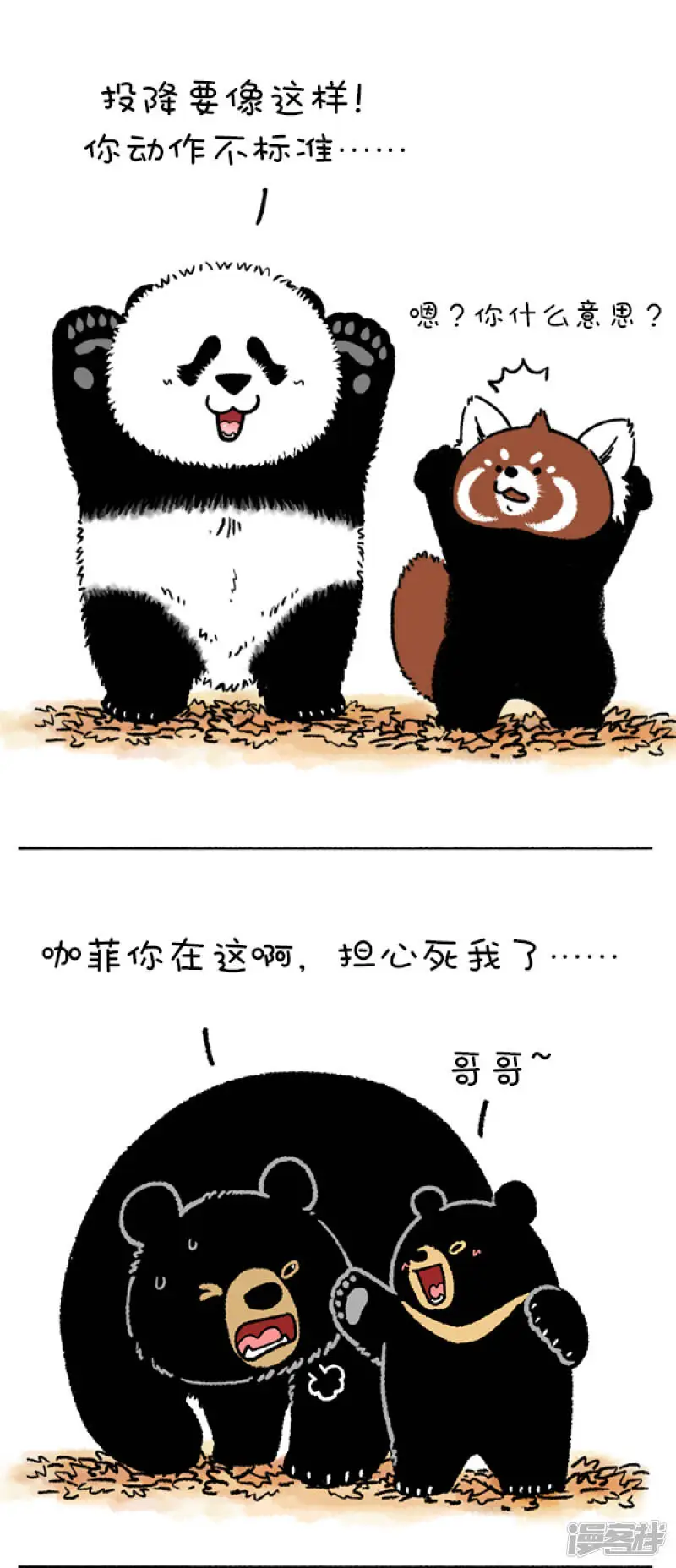205熊挪活，树挪死2