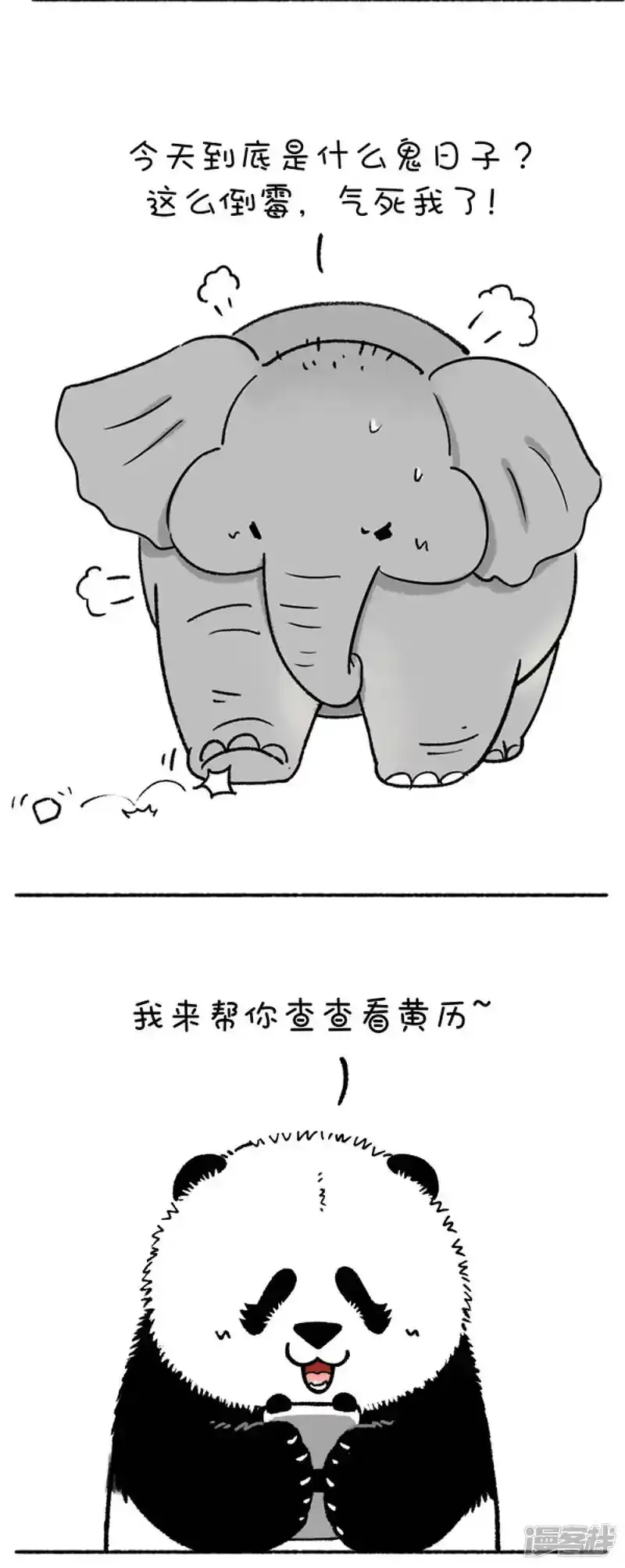 206奇怪，今天大象脾气变得很暴躁2