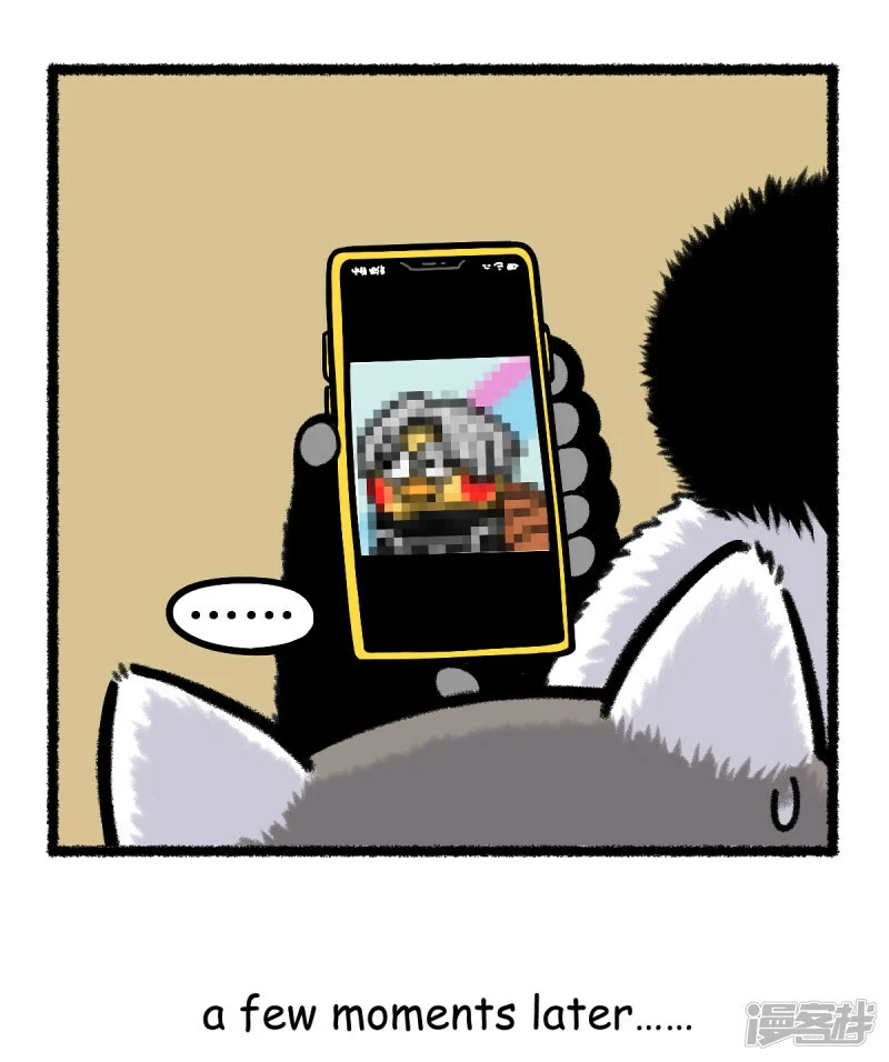 373盘点熊猫界有哪些流行发型~4