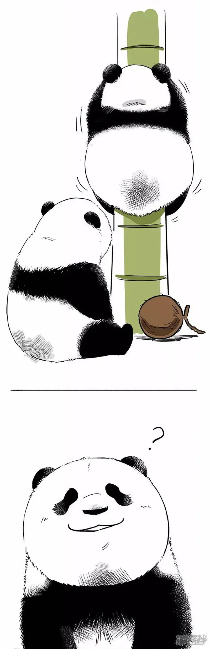 072椰子4