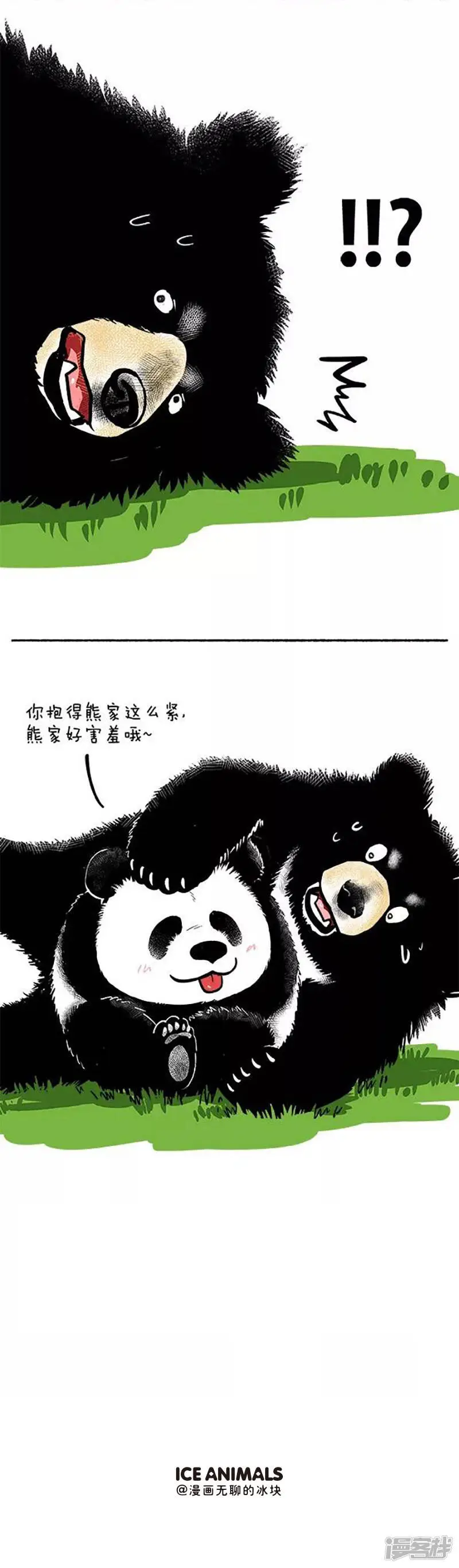 084进球4