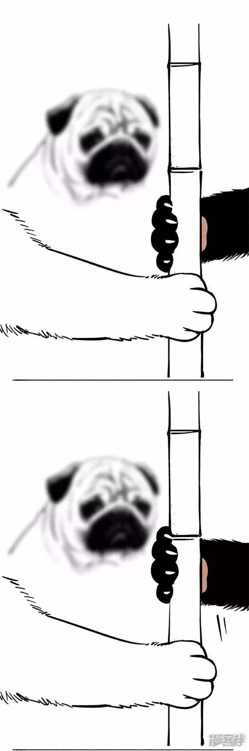 069狗粮1
