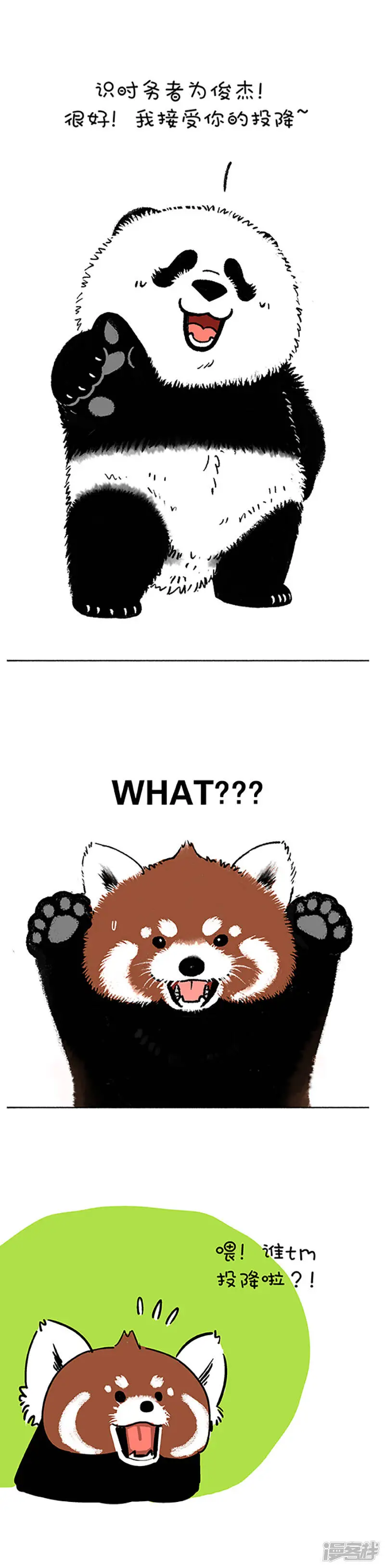 183对不起！我是熊猫！3