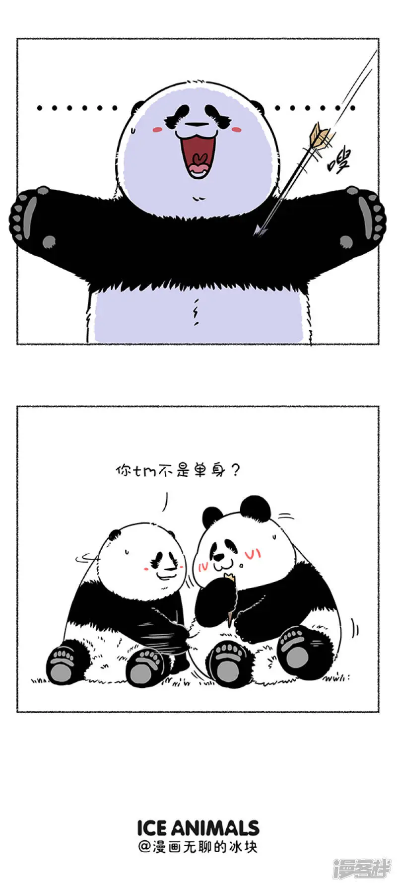 284热烈庆祝大熊猫成功降级，也祝贺奇思圆宝不忘初心~2